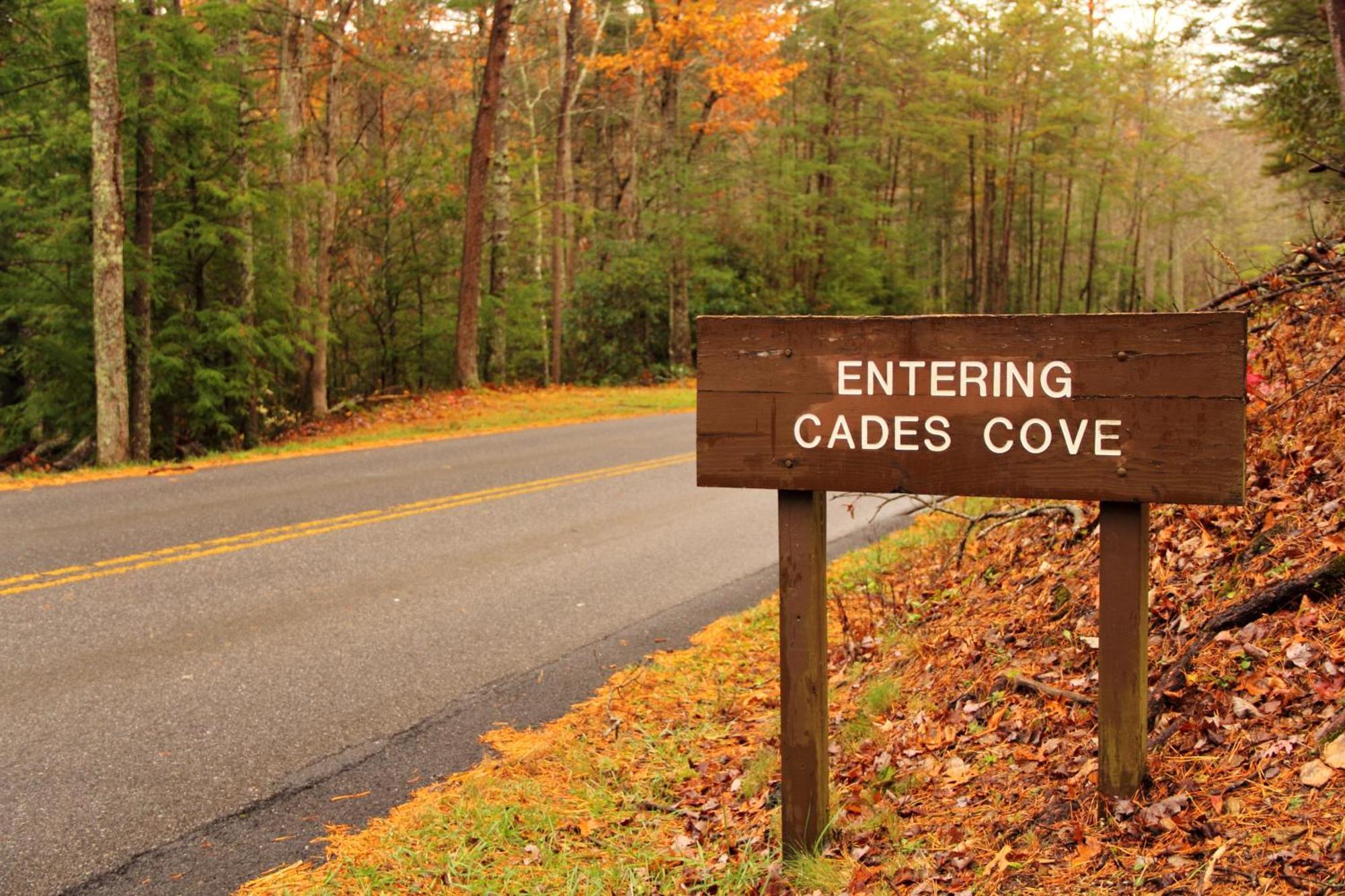 A Happy Cottage- Get 951 Worth Of Free Area Attraction Tickets For Each Paid Day! Pigeon Forge Ngoại thất bức ảnh