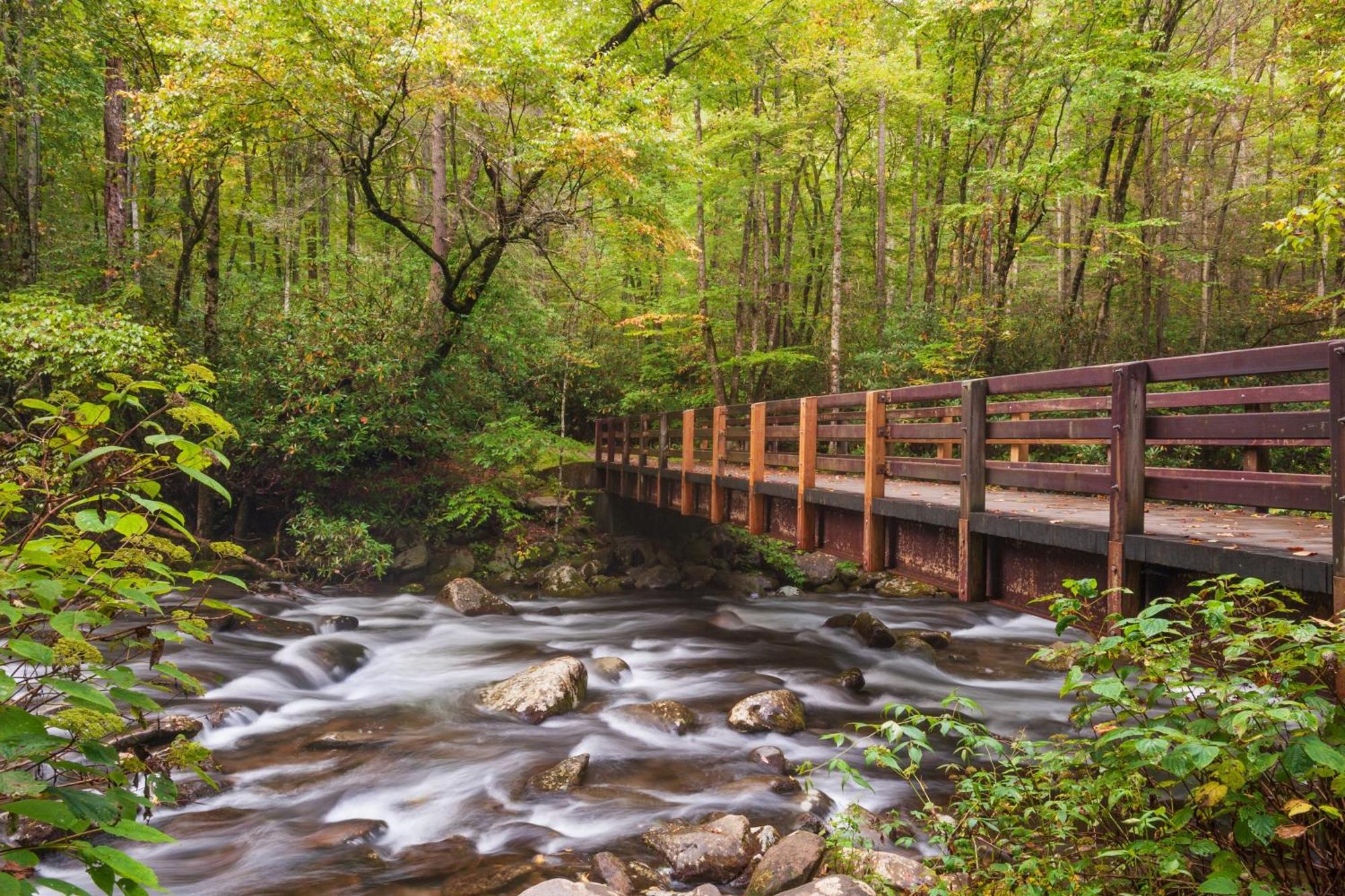 A Happy Cottage- Get 951 Worth Of Free Area Attraction Tickets For Each Paid Day! Pigeon Forge Ngoại thất bức ảnh